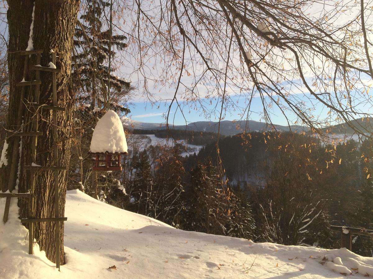 Chalupa Pod Skalou I. Paseky nad Jizerou Buitenkant foto